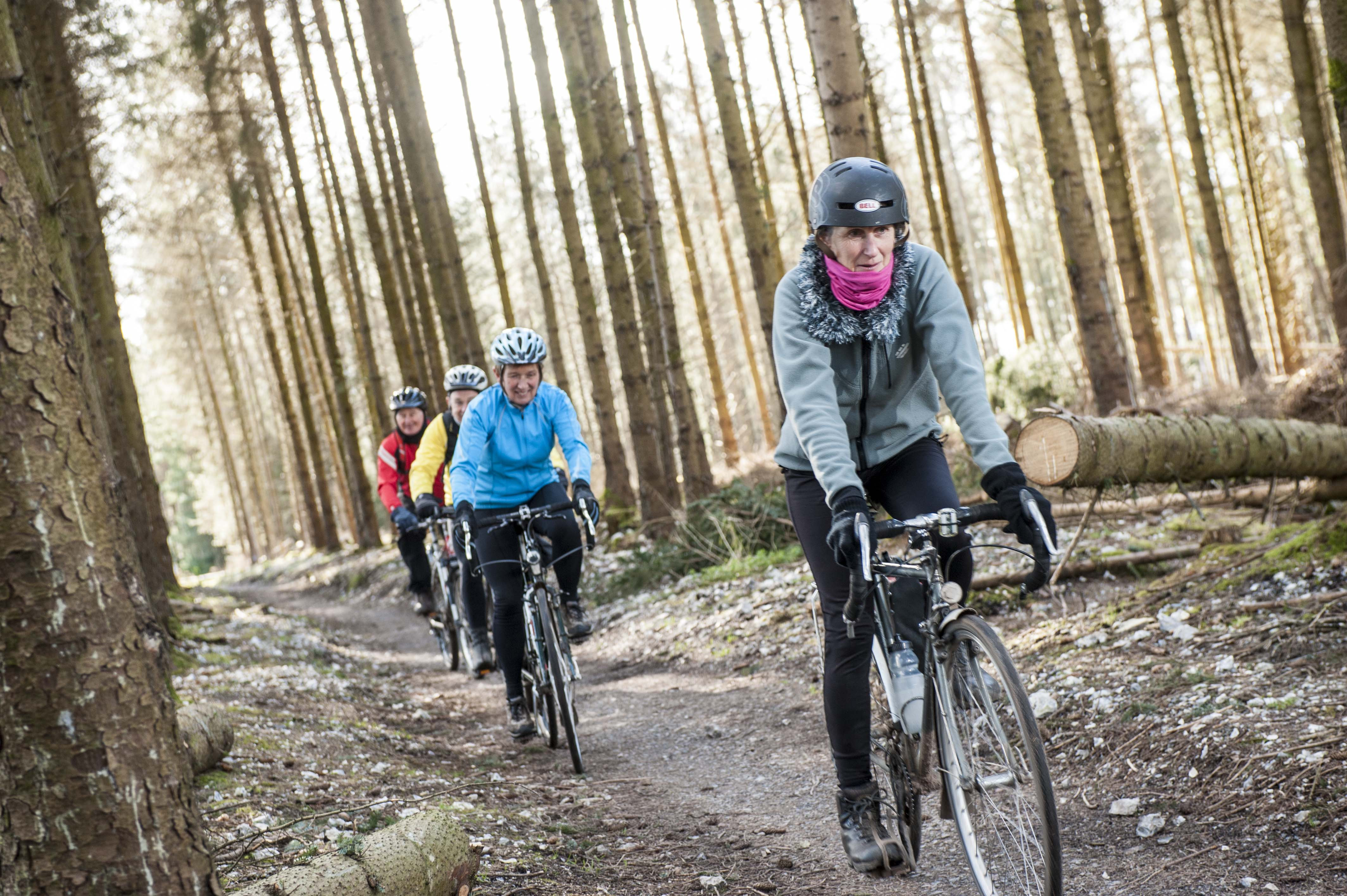 haldon forest park over 50s cycling